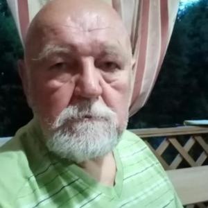 Виктор, 74 года, Лабинск