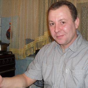 Александр, 49 лет, Котлас