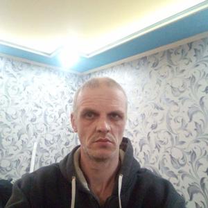 Михаил Николаев, 45 лет, Фрязино