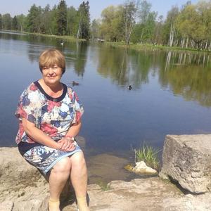 Олюшка, 66 лет, Гатчина