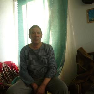 Аркадий, 62 года, Красноярск