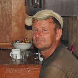 Денис, 63 года, Ивантеевка