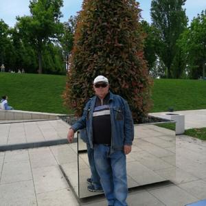 Николай, 72 года, Краснодар