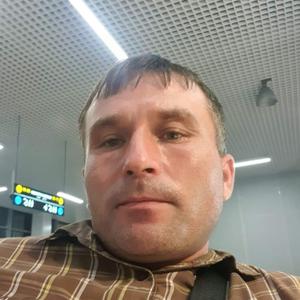 Qaxramon, 38 лет, Томск