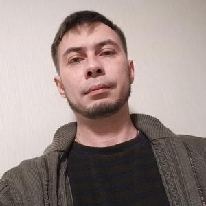 Oleg, 41 год, Житомир