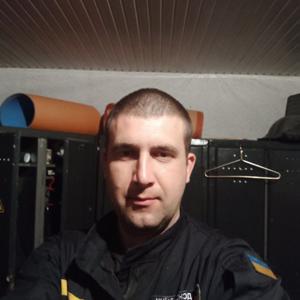 Николай, 37 лет, Павлоград