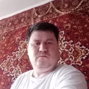 Алексей Шевченко, 37 лет, Ташкент