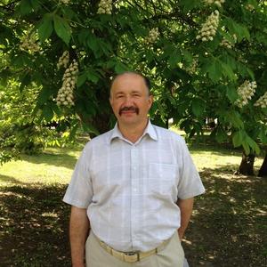 Николай, 60 лет, Валуйки