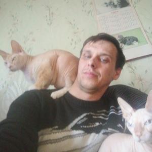Парни в Ржеве: Владимир, 32 - ищет девушку из Ржева