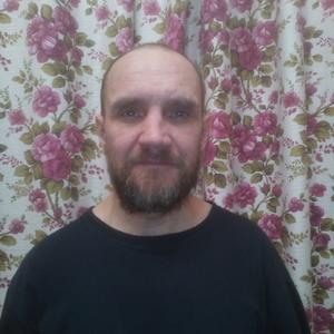 Игорь, 52 года, Архангельск