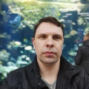 Дмитрий, 38 лет, Белгород
