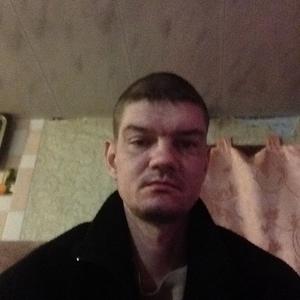 Андрей, 39 лет, Михайловск