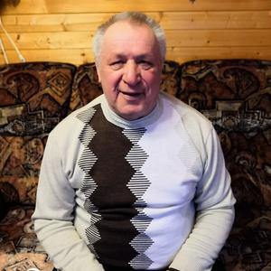 Евгений, 74 года, Красногорск