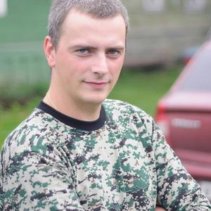 Николай Крупенков, 36 лет, Череповец