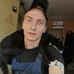 Dimon, 29 лет, Киров