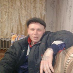 Андрей, 49 лет, Красновишерск