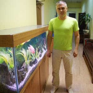 Barmolini, 44 года, Орехово-Зуево