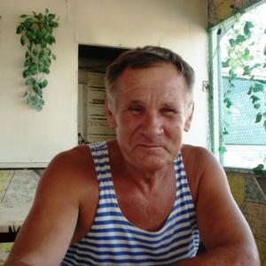 Евгений, 67 лет, Белгород