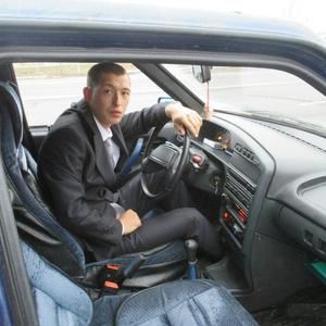 Алексей Шураев, 31 год, Димитровград