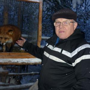 Павел, 72 года, Оленегорск