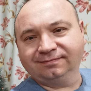 Дмитрий, 52 года, Белово