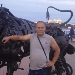 Степан, 43 года, Мурманск