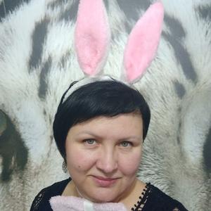 Алиса, 44 года, Йошкар-Ола