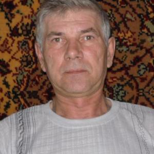 Виктор, 64 года, Нижний Новгород