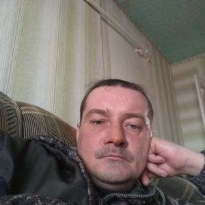 Дмитрий, 41 год, Анжеро-Судженск