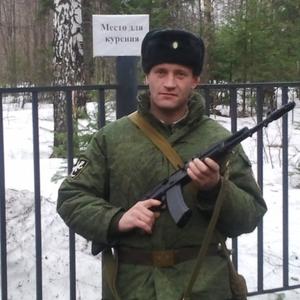 Владимир Козлов, 45 лет, Верхняя Пышма