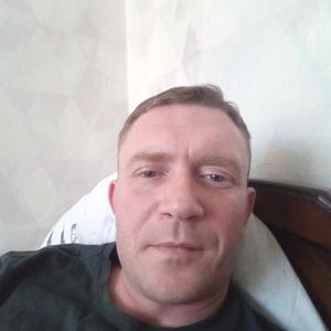 Сергей, 38 лет, Грязи