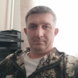 Николай, 43 года, Бронницы
