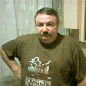 Леонид, 73 года, Санкт-Петербург