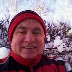 Михаил, 67 лет, Дмитров