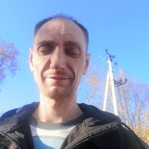 Дмитрий, 39 лет, Думиничи