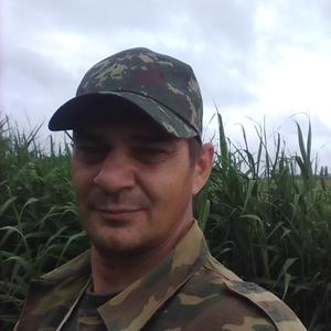 Степан, 43 года, Светлоград