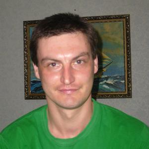 Андрей Жеребцов, 41 год, Малая Вишера