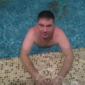 Александр, 46 лет, Электросталь