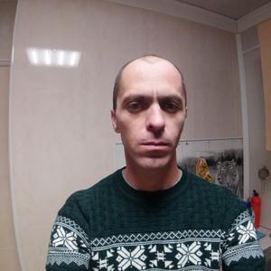 Николай, 42 года, Тула