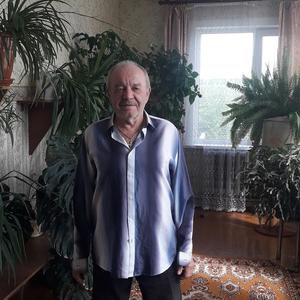 Владимир, 82 года, Октябрьское