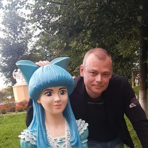 Олег, 43 года, Сергиев Посад