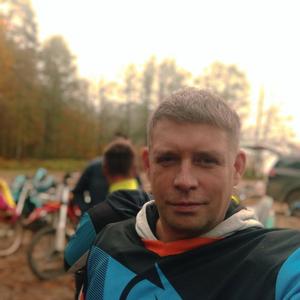 Андрей, 34 года, Гатчина