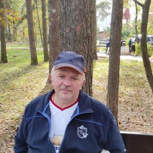 Андрей Калинкин, 62 года, Реутов