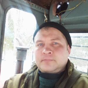 Дмитрий, 39 лет, Великий Устюг