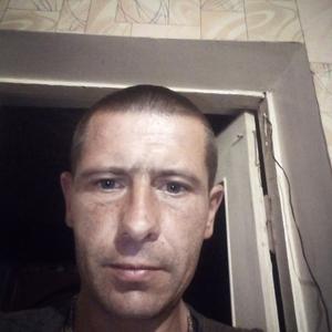 Дмитрий, 42 года, Новогрудок